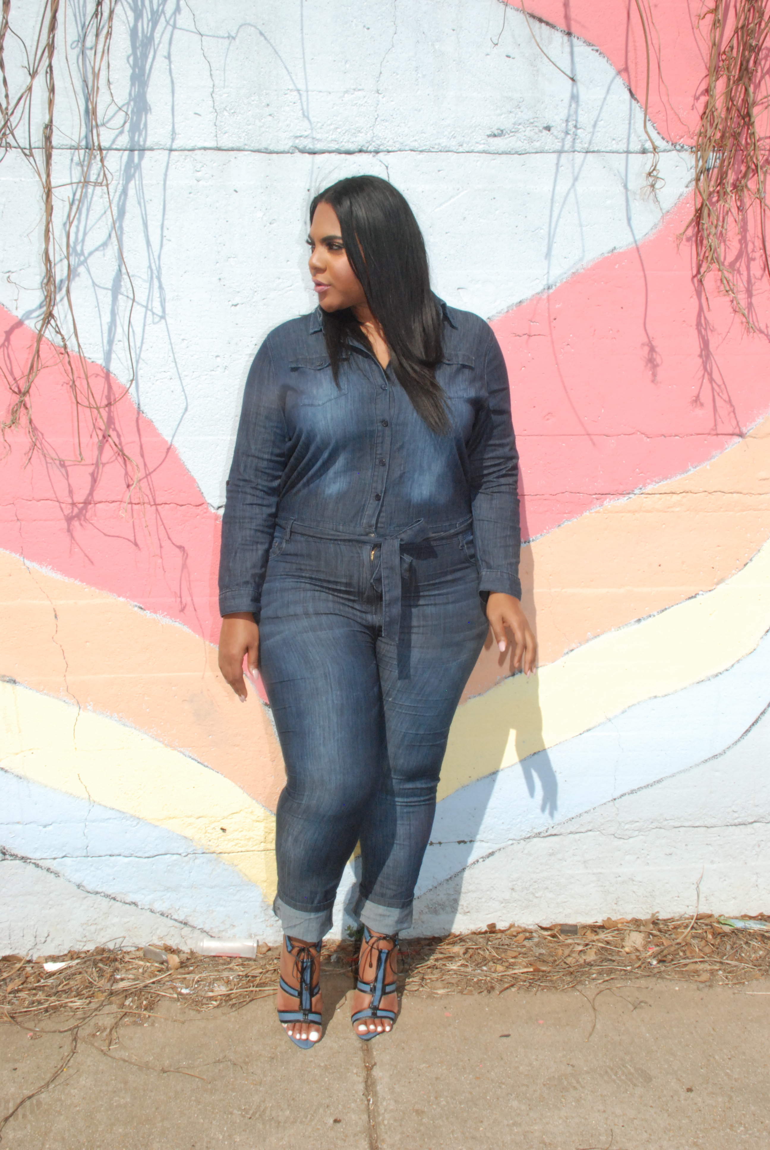 PLUS SIZE DARK DENIM Jumpsuit, Blogger,  First year Blogging, blogiversary 